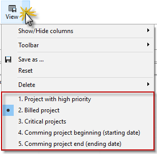 filter_und_gruppierungmoeglichkeiten_ansichtsvorlagen